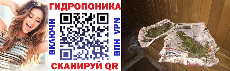 Бошки марихуана индика  Южа 